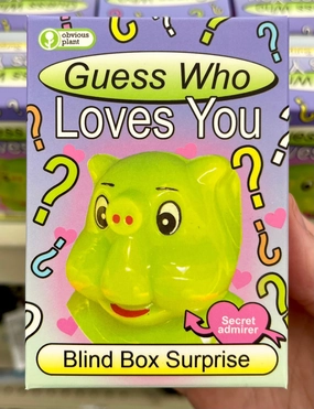 Guess Who Loves You - Blind Box Joyful learning