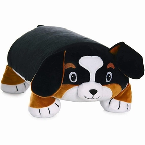 Creative time for curious minds Bernie The Bernese Dog