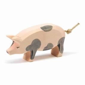 Ostheimer Spotted Pig, Head High Tiny thinkers