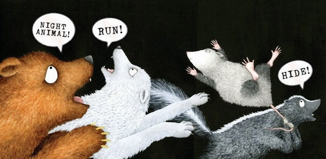 Night Animals Exploration made fun