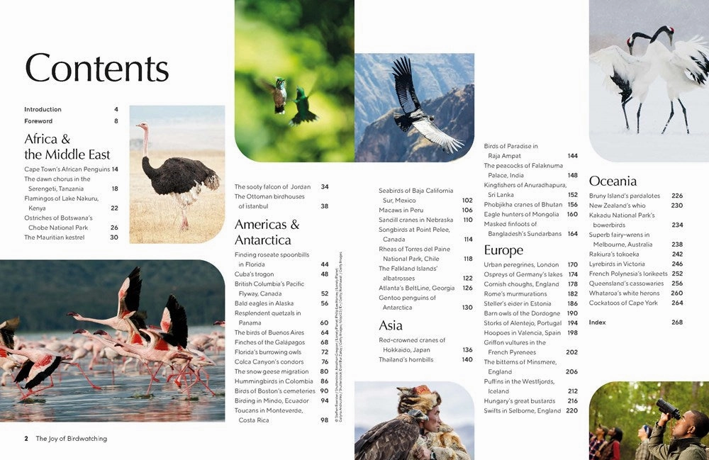 Growth tools Lonely Planet Kids: The Joy Of Birdwatching