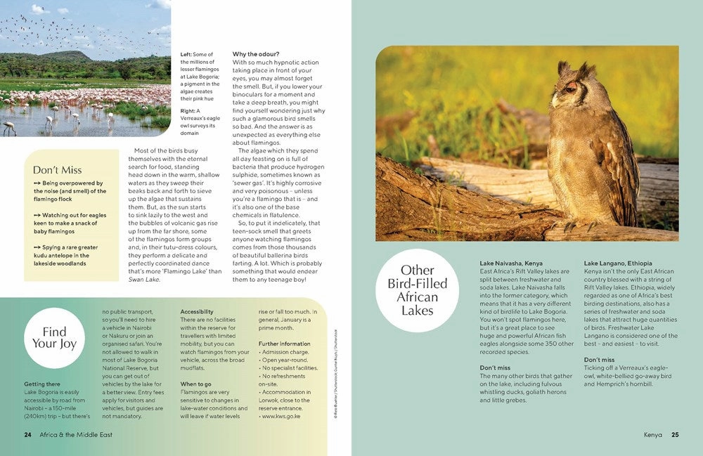 Tiny thinkers Early learning Lonely Planet Kids: The Joy Of Birdwatching