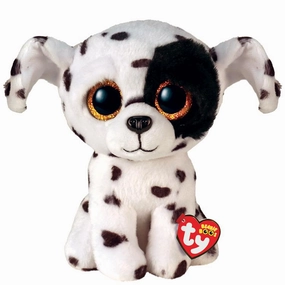 Luther - Small Dog Preschool minds Little creators