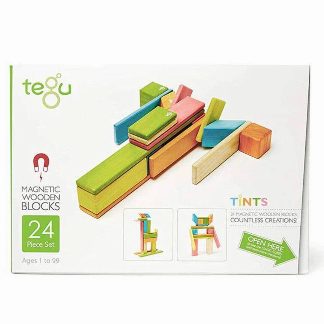 Magnetic Wooden Blocks - 24 Piece Set Tints Fun-based learning Smart kids gear