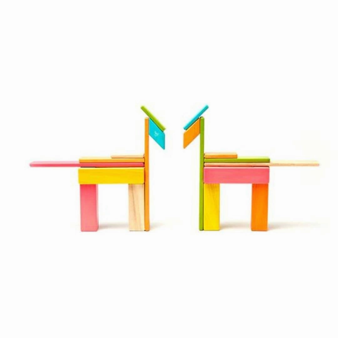 Magnetic Wooden Blocks - 24 Piece Set Tints Little learners Home learning tools