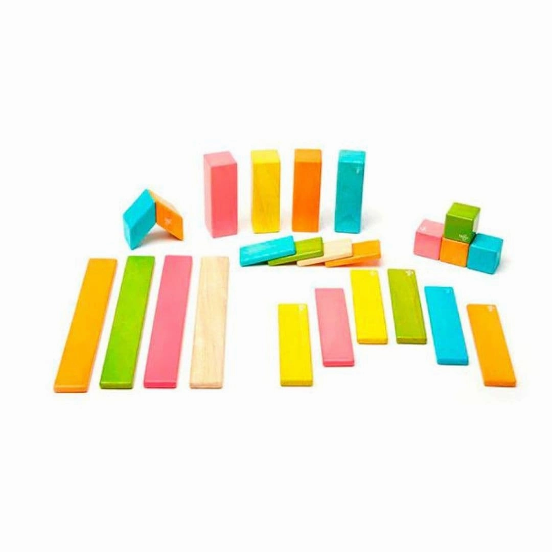 Learning tools Magnetic Wooden Blocks - 24 Piece Set Tints