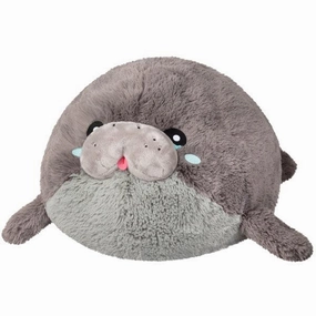 Early discovery Manatee