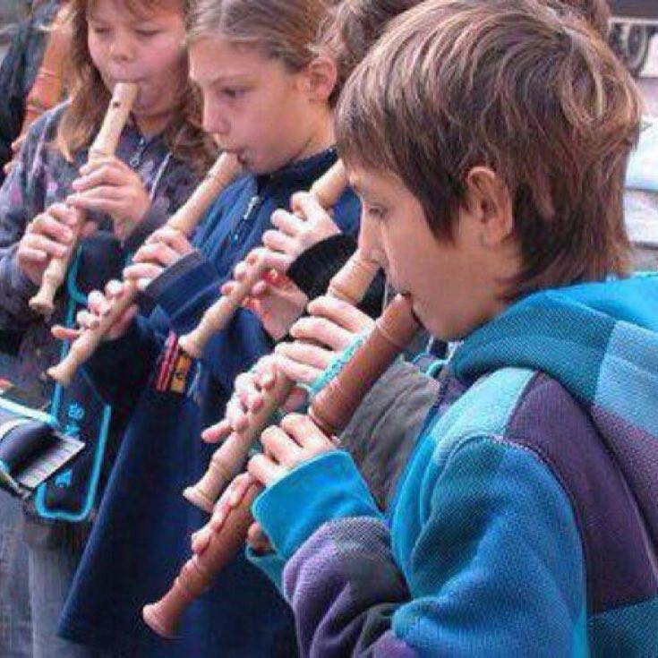Maple Wood Soprano Recorder Little builders