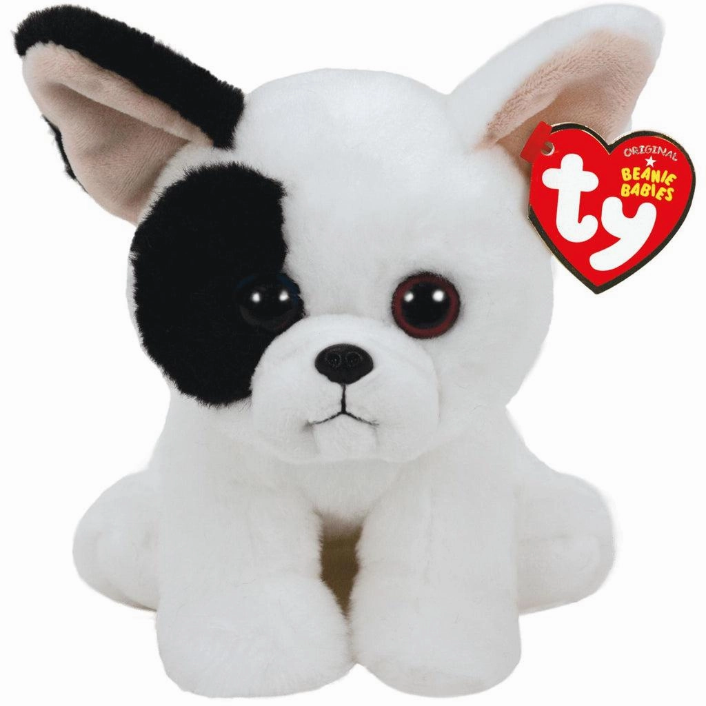 Marcel - Small White Dog Young explorers