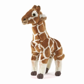 Smart activities for young learners Medium Giraffe