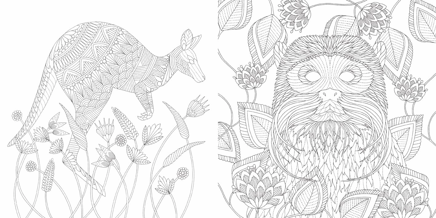 Little hands Millie Marotta'S Brilliant Beasts Coloring Book