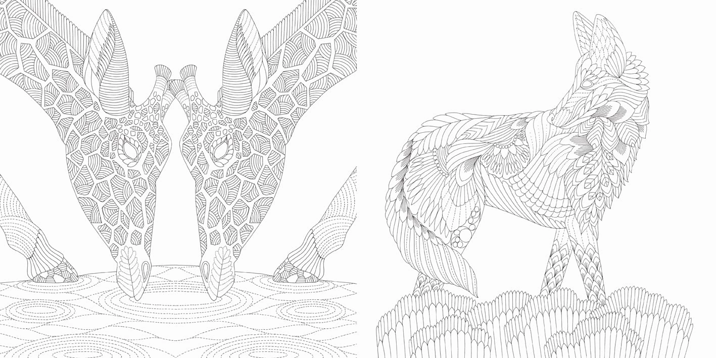 Millie Marotta'S Brilliant Beasts Coloring Book Nurturing minds Creative kids