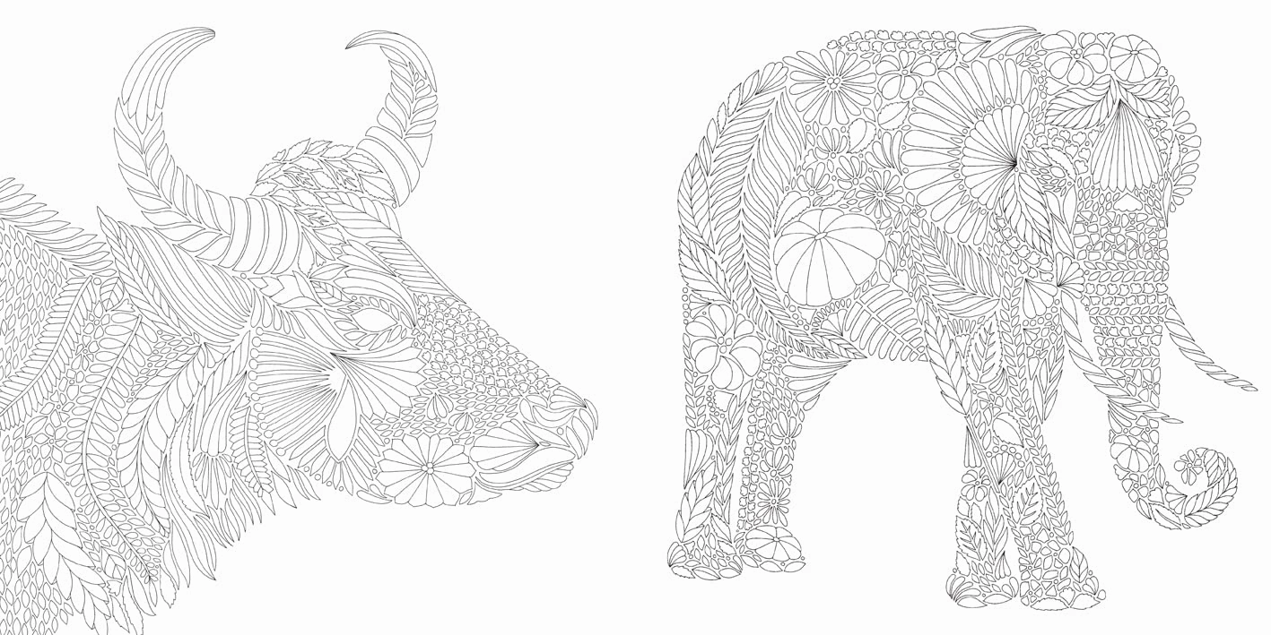 Millie Marotta'S Brilliant Beasts Coloring Book Young learners