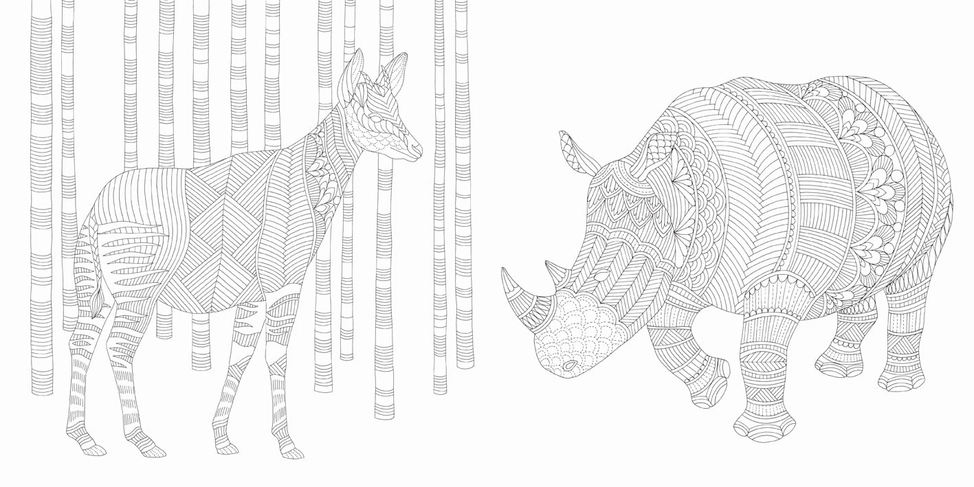 Millie Marotta'S Brilliant Beasts Coloring Book Play-based education
