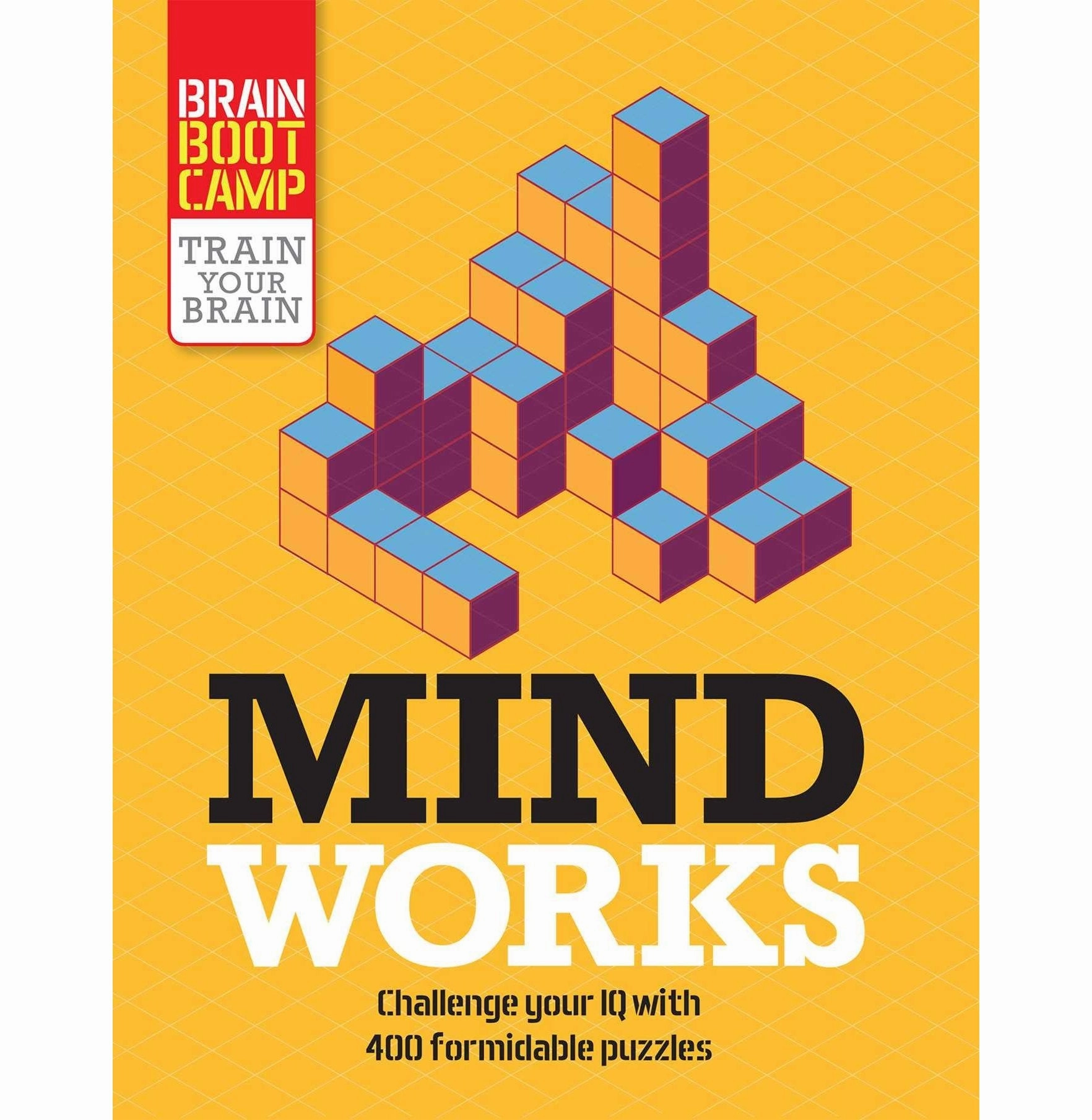 Play-based education Mind Works: Ten Iq Tests From The Masters Of Intelligence Moore Gareth And Jones Graham