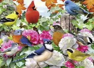 Little creators Little hands Garden Birds -500Pc