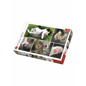 Learning fun Skill-building tools Jigsaw Puzzle Just Cat Things Collage, 1500 Piece