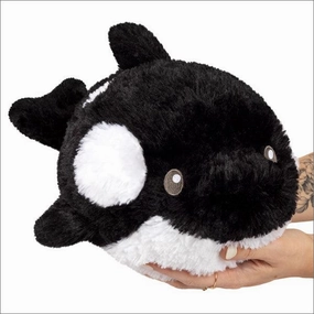 Curious minds Mini Orca