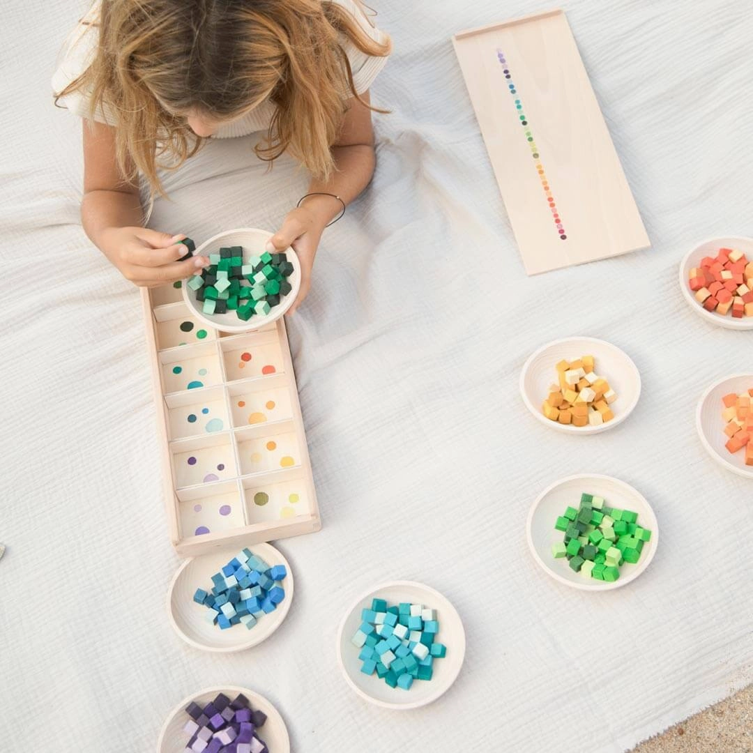 Mis & Match Wooden Sorting Set Young explorers