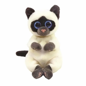 Enrichment activities Miso - Small Siamese Cat