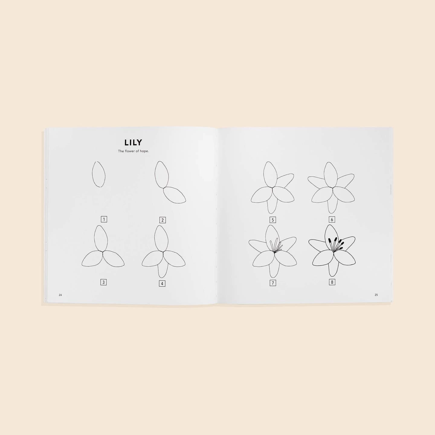 Holistic Parent-approved learning Modern Flowers: A How To Draw Book For Kids