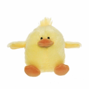 Learn & grow Chick