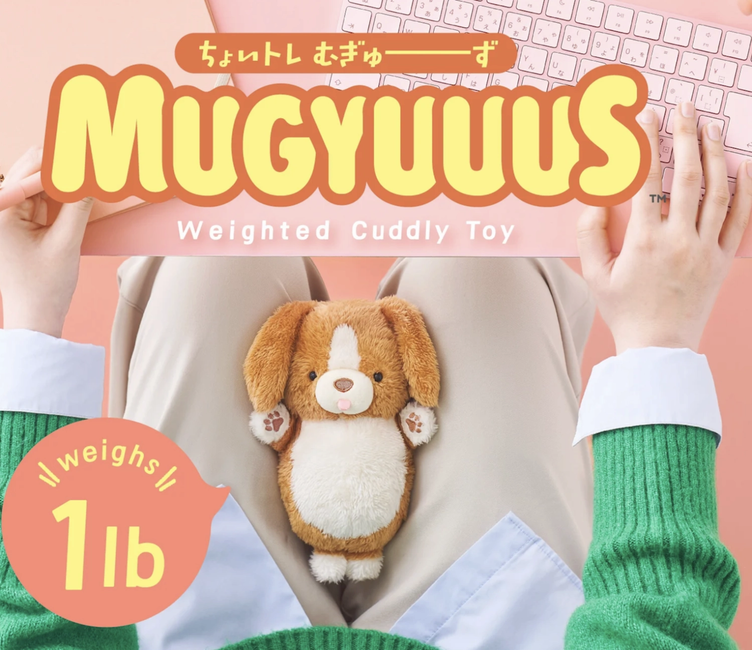 Mugyuuus Beagle Learn at home Preschool minds