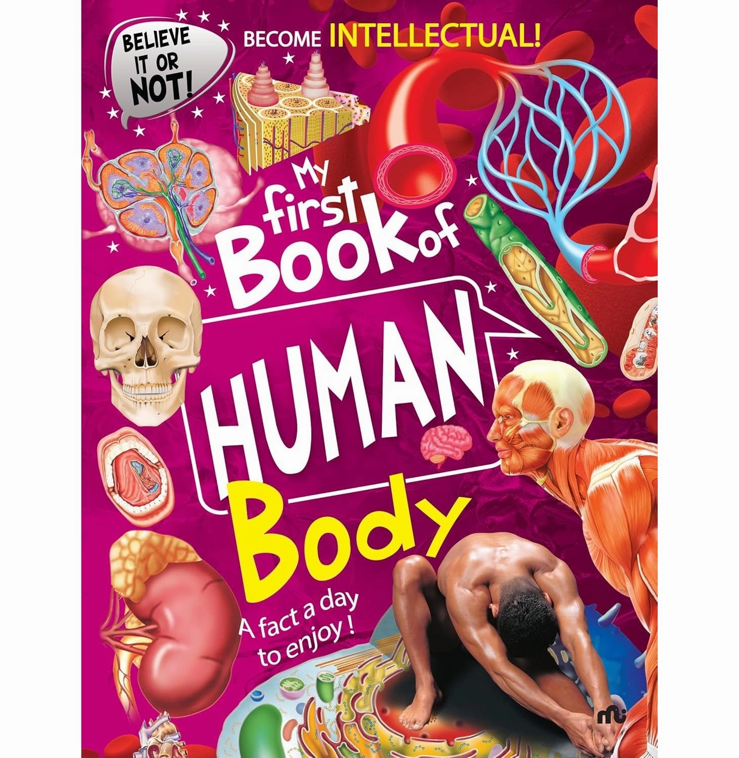 My First Book Of Human Body Tiny thinkers Exploration made fun