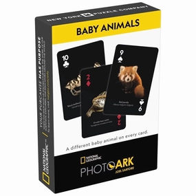 Play-based education Skill-building tools Natgeo Baby Animals Cards