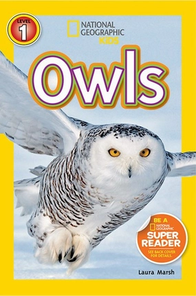 Play & learn Playroom learning National Geographic Kids Readers: Owls