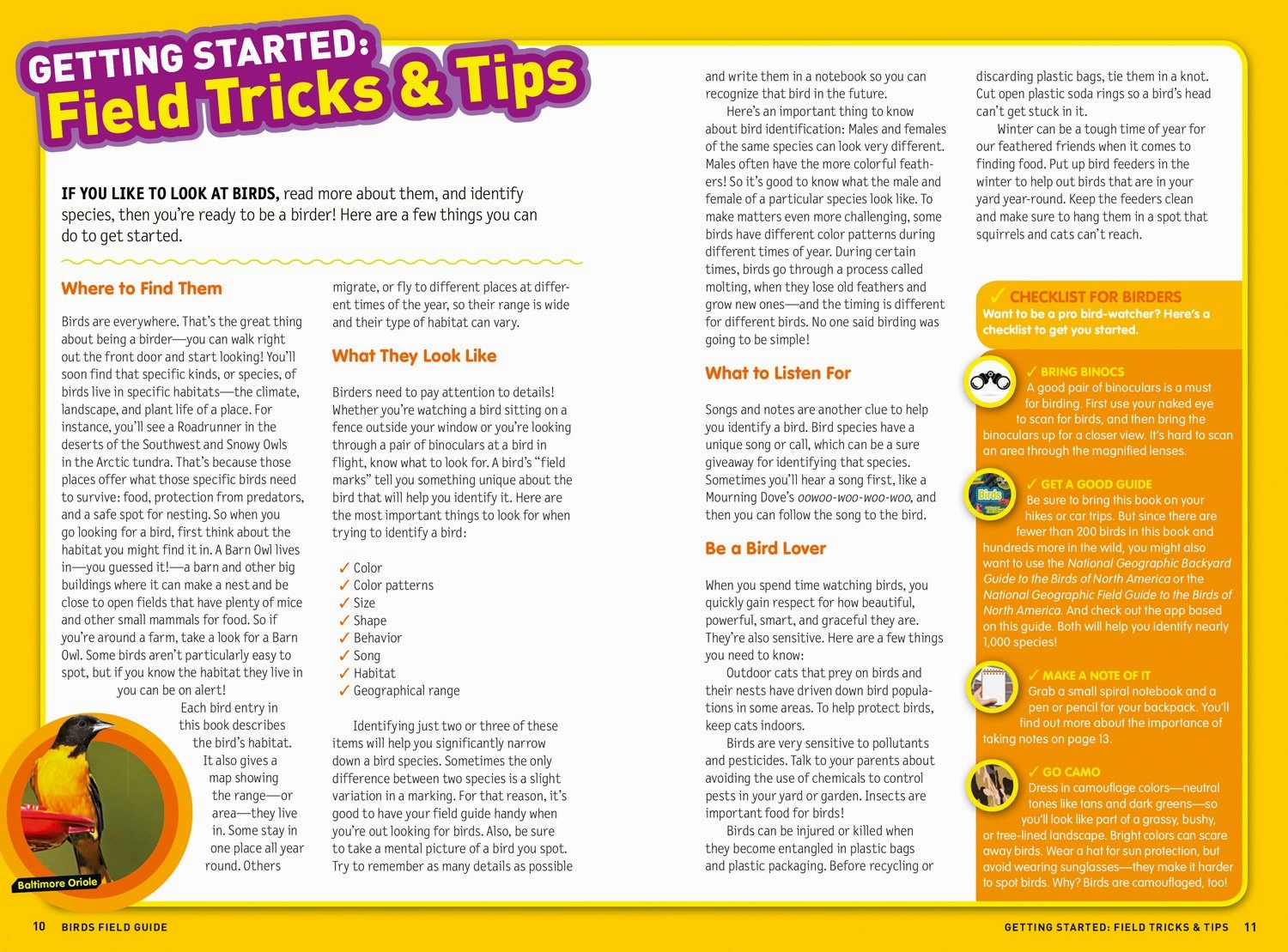 National Geographic Kids Ultimate Explorer Field Guide: Birds Busy kids Engaging young minds