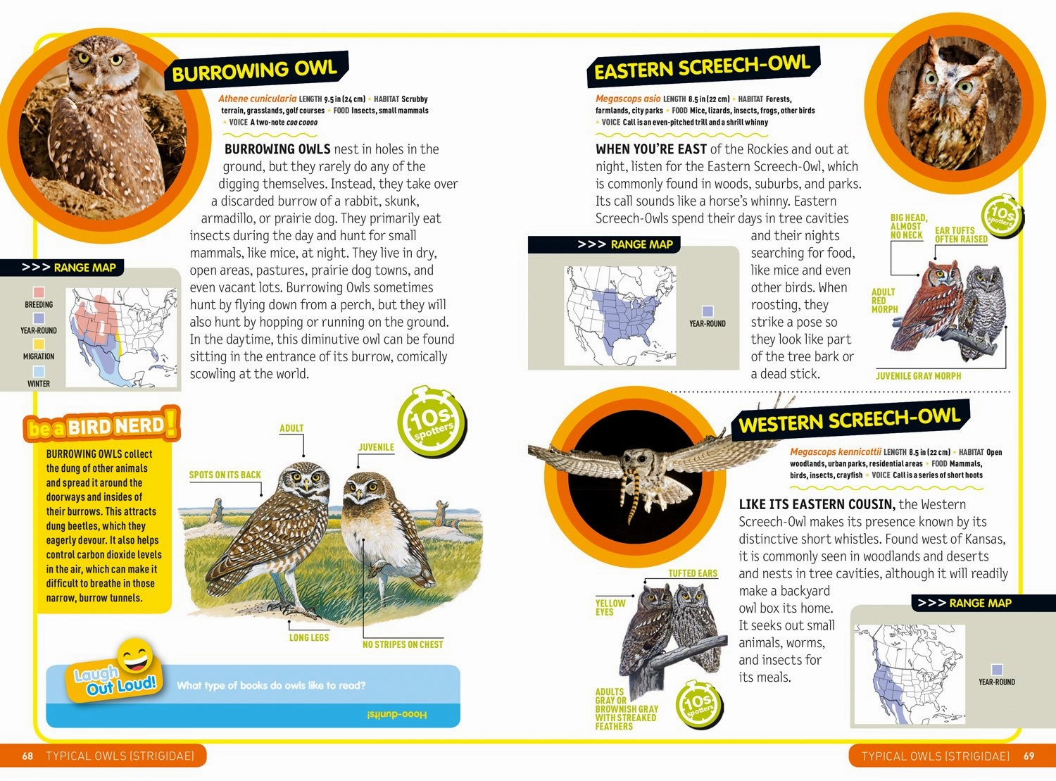 Smart little ones National Geographic Kids Ultimate Explorer Field Guide: Birds