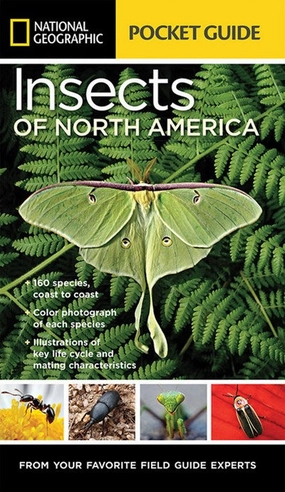 Little builders National Geographic Pocket Guide: Insect Of N. America