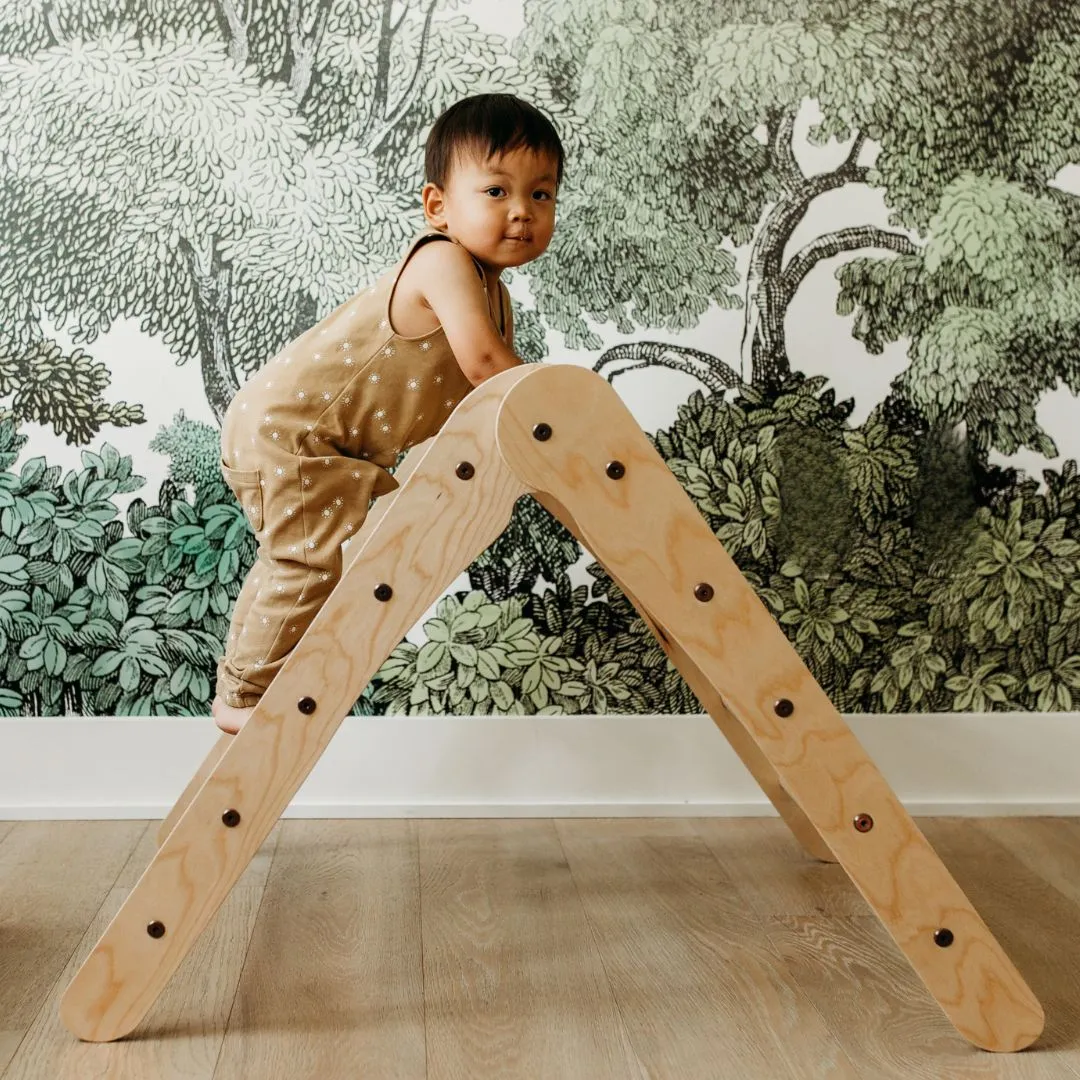 Smart & fun Parent-approved learning Natural Climbing Triangle