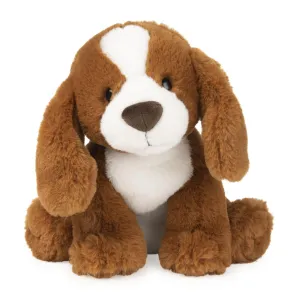 Kian Spaniel Puppy Dog Joyful learning