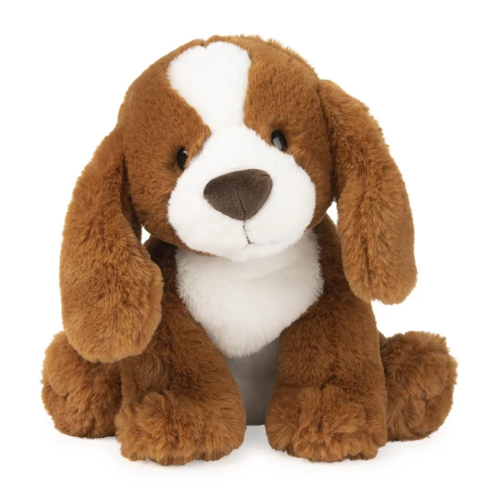 Kian Spaniel Puppy Dog Joyful learning