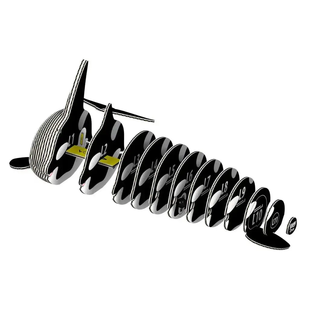 Orca 3D Puzzle Holistic