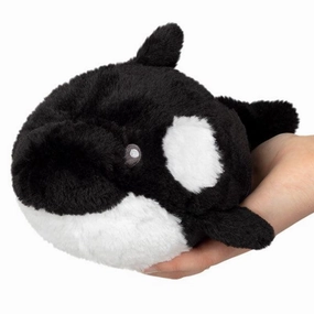 Orca Snacker Kid-focused experiences