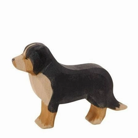 Parent-approved learning Ostheimer Bernese Mountain Dog