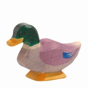 Ostheimer Drake Learn at home Play-based education
