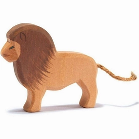 Ostheimer Lion, Male Preschool minds Curious minds