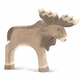 Ostheimer Moose Everyday learning