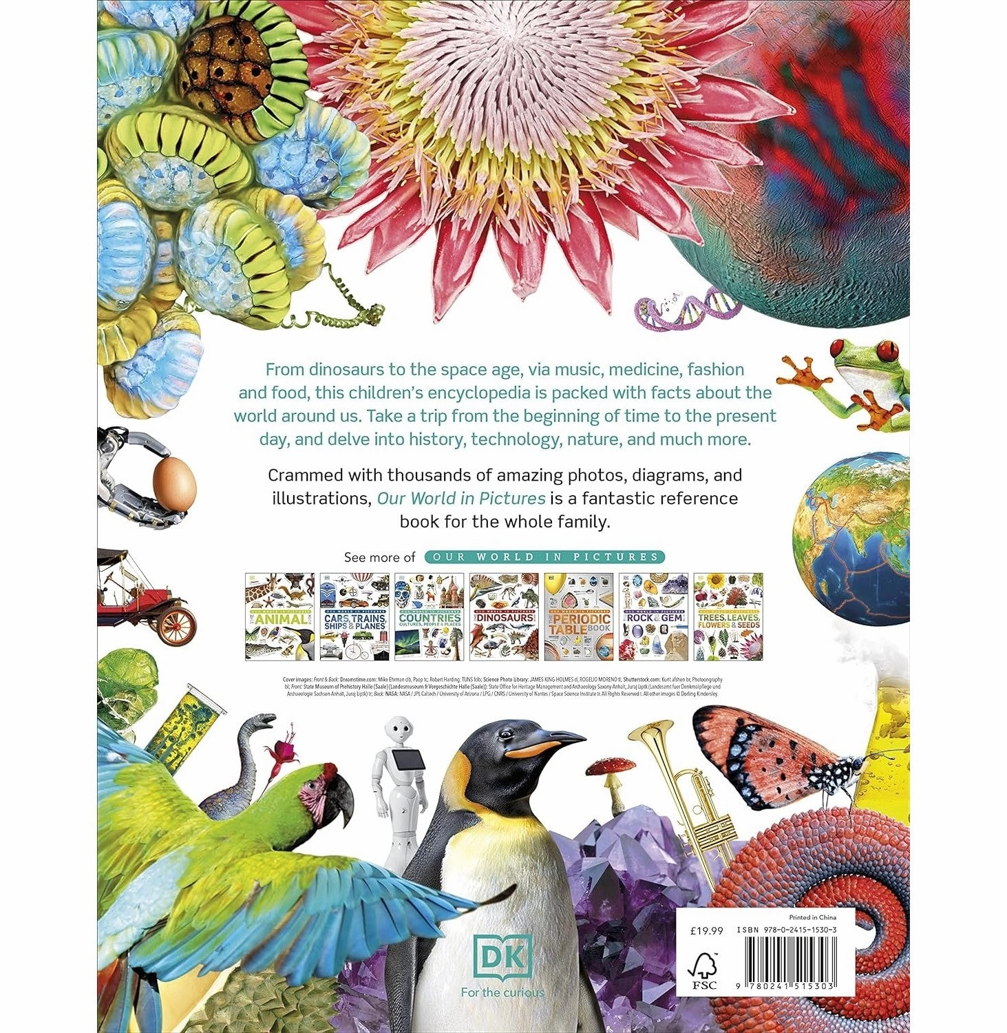 Tiny thinkers Play-based education Our World In Pictures (Lead Title): An Encyclopedia Of Everything (Dk Our World In Pictures) [Hardcover] Dk