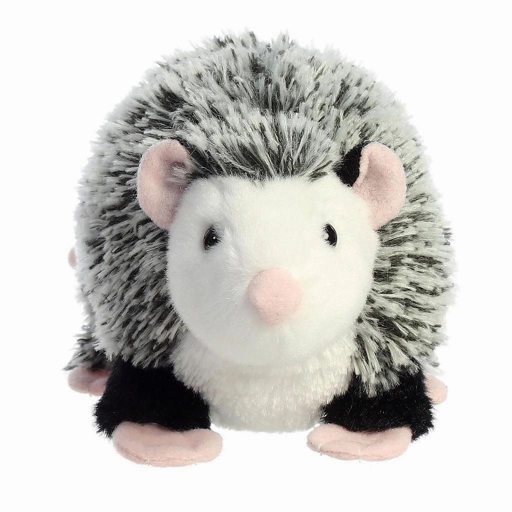 Learn at home Moments of imagination Ozzie Opossum