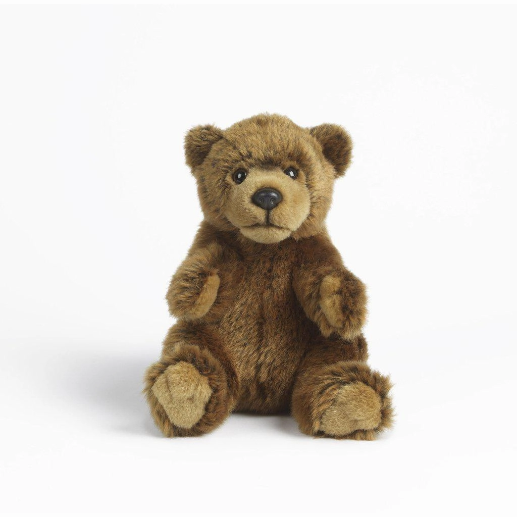 Enrichment activities Kids essentials Brown Bear Small 7''