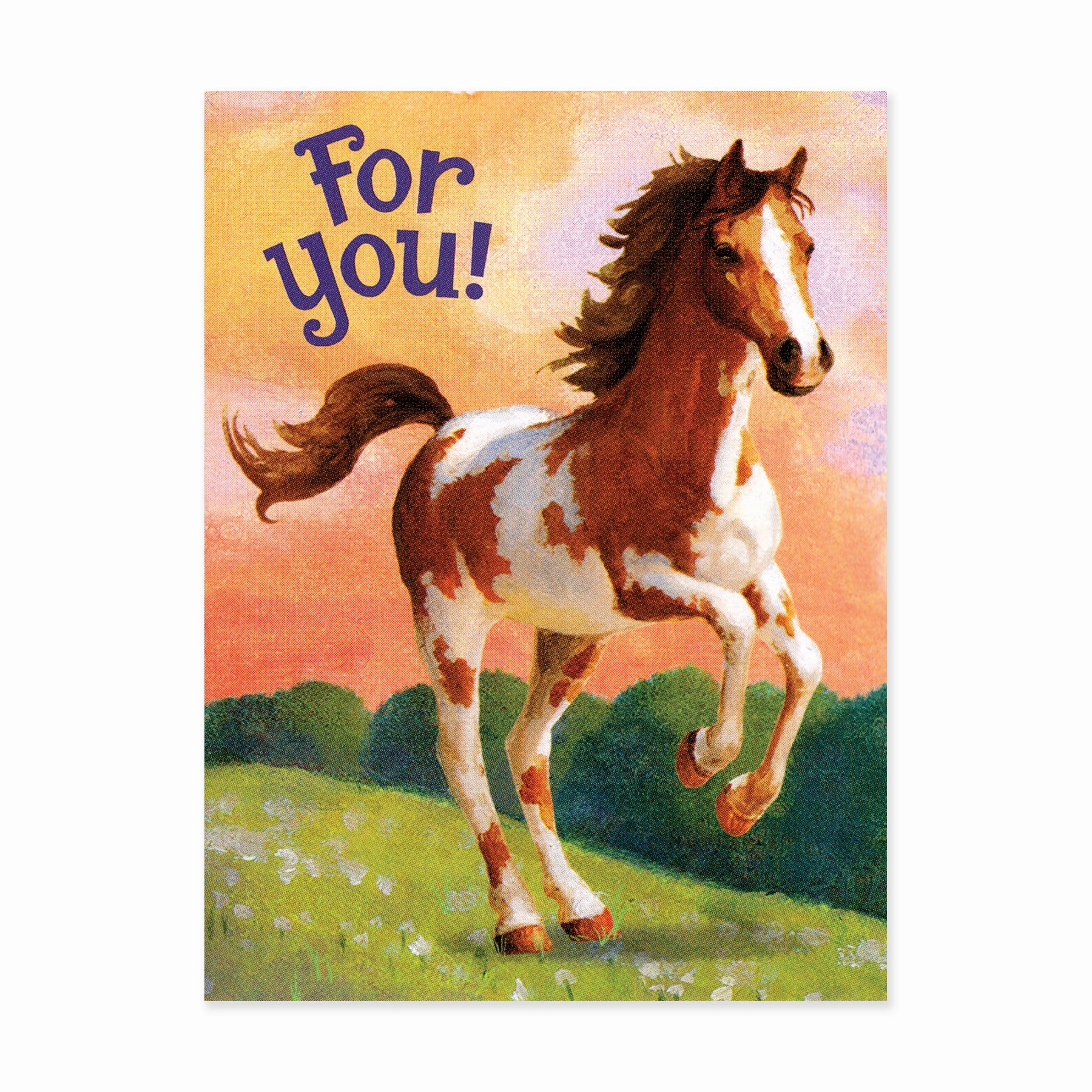 Horse For You Enclosure Card Sensory fun for little hands Discover & grow