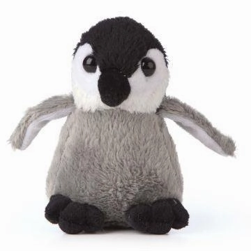 Penguin Smols Kids essentials
