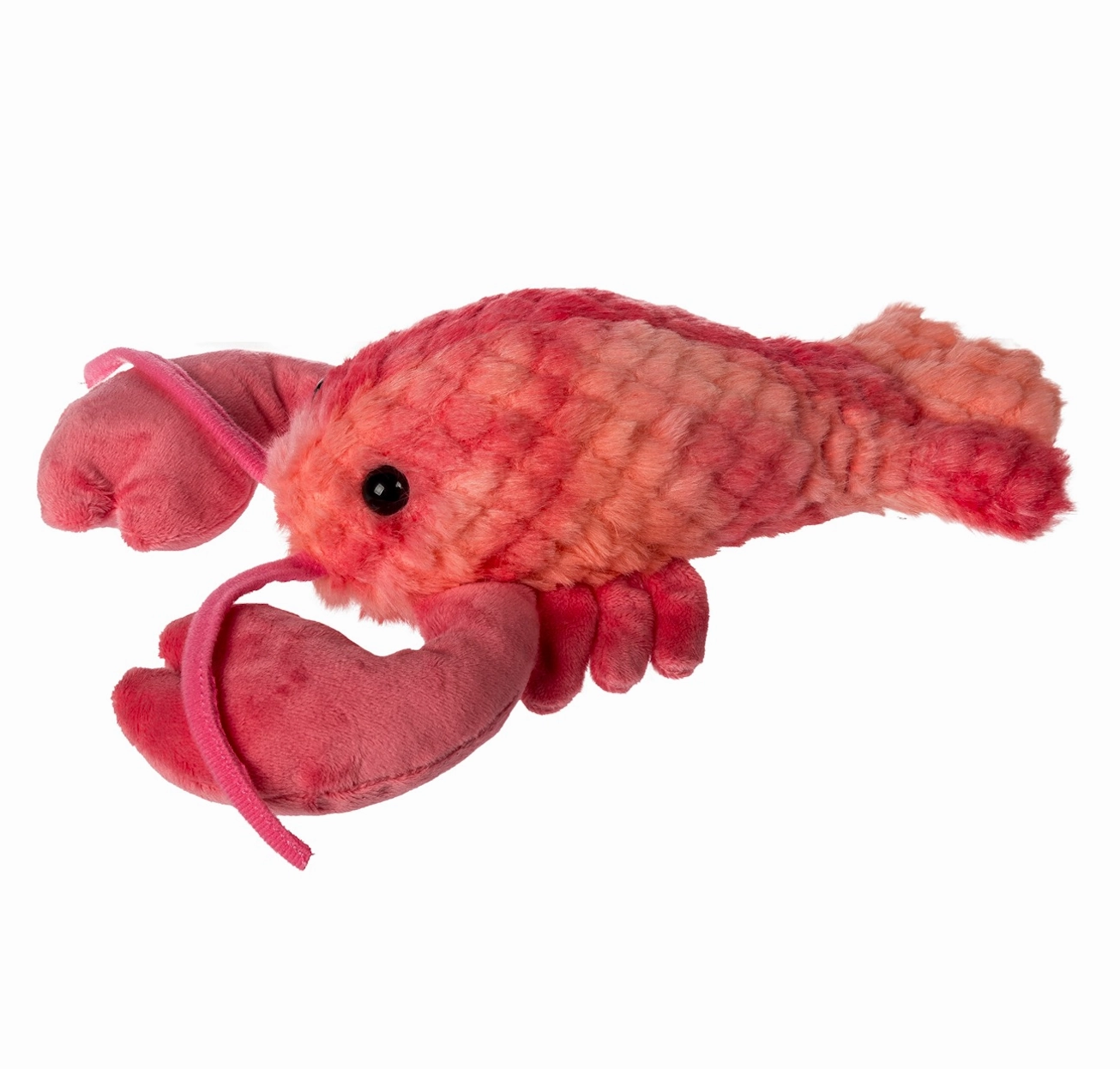 Perfectly Pink Lobster Smart kids gear