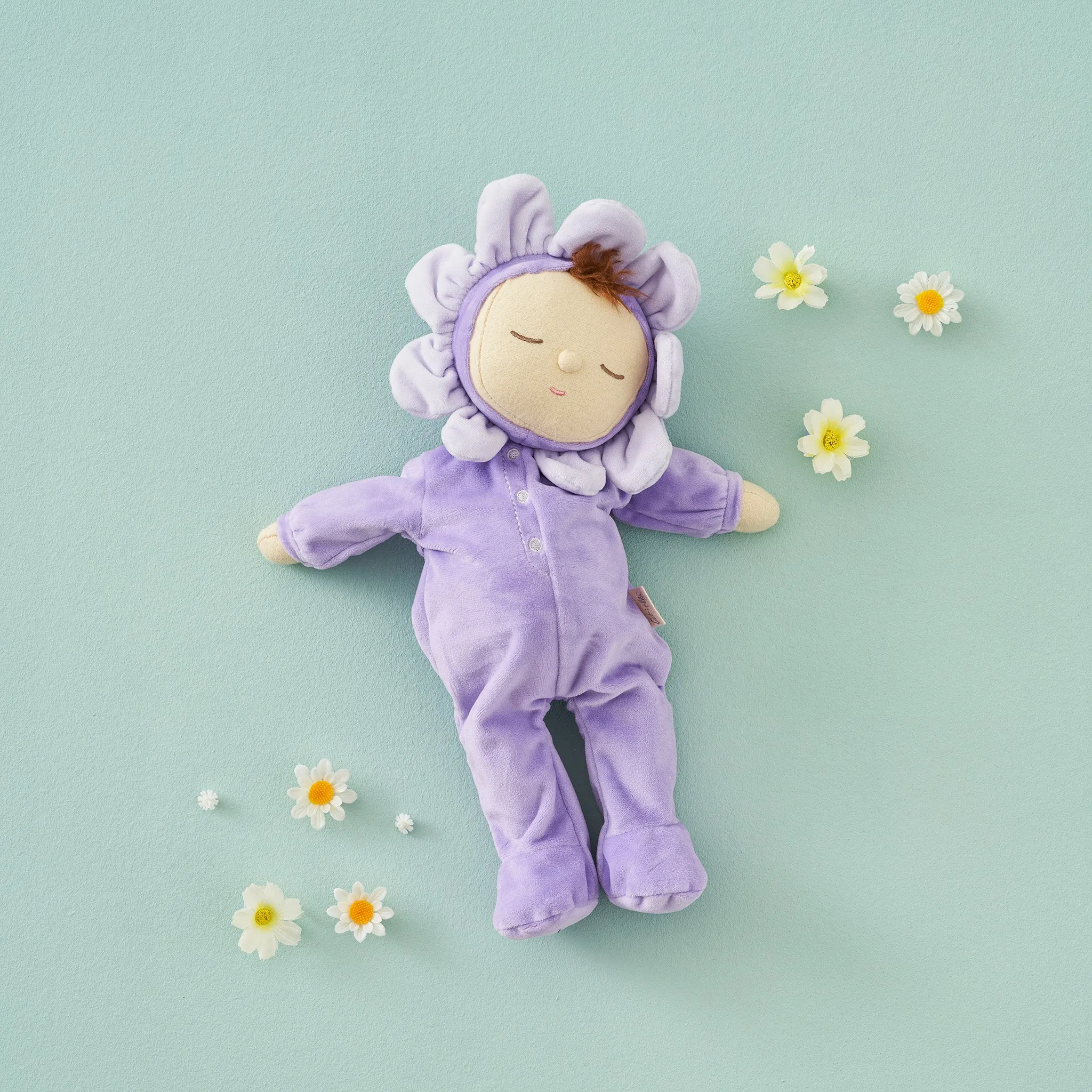 Curiosity starters Petal Dozy Dinkums - Pickle Lavender
