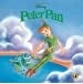 Young minds at work Peter Pan [Hardcover] Disney